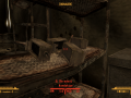 FalloutNV 2012-05-16 18-35-49-60.png